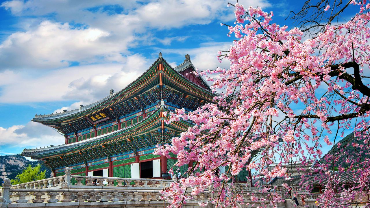 South Korea travel guide